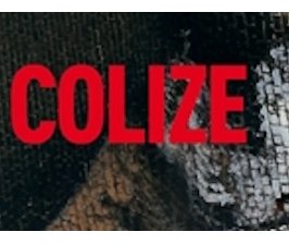 Invitation à la lecture : « Toute la violence des hommes », de Paul Colize