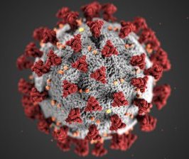 Pour assurer notre sécurité, des libertés peuvent être limitées en temps de pandémie