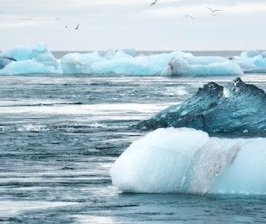 Il faut agir maintenant pour le climat !