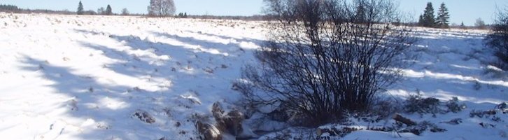 Le cycliste des Fagnes : faisons la part des choses