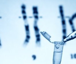 L'ADN, reine des preuves