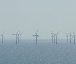 La France jugée coupable de dommage écologique