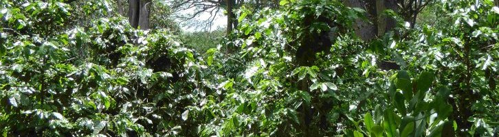 Condamné pour des dégâts à l'environnement