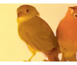 Nous avons lu « Deux innocents », d'Alice Ferney