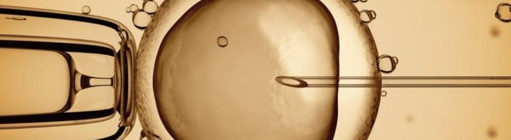 Le père « intentionnel » est le père légal !