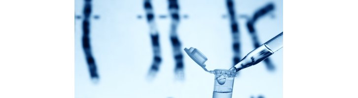 L'ADN, reine des preuves