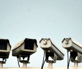 « The Circle » : les technologies font-elles la loi ?