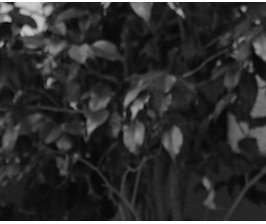 Trop âgée pour un emploi ?