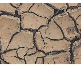 Peut-on désobéir pour lutter contre l'urgence écologique ?