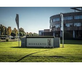 Un tribunal citoyen condamne l'entreprise Monsanto