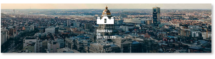 ProPulse : un tremplin vers les études de droit