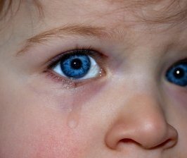 Les enfants aussi ont droit à leur avocat !