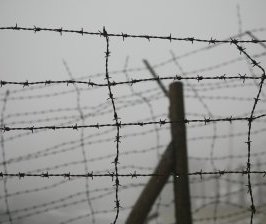 Détention préventive et arrestation immédiate