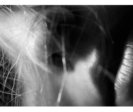 Inscrire ou non le féminicide dans le Code pénal ? Arguments contre