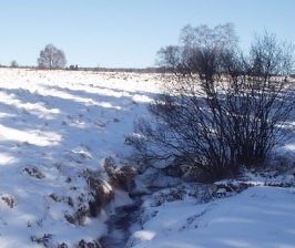 Le cycliste des Fagnes : faisons la part des choses
