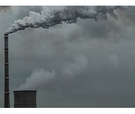 Climat : 60.000 citoyens interpellent la Belgique devant la Justice !