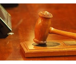 Les juges et l'État de droit