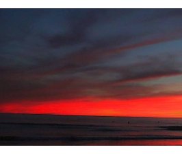 Le droit à l'avortement mis en cause aux États-Unis