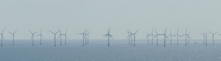 La France jugée coupable de dommage écologique