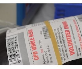 La Cour européenne des droits de l'homme et le consentement à la transfusion sanguine d'un Témoin de Jéhovah